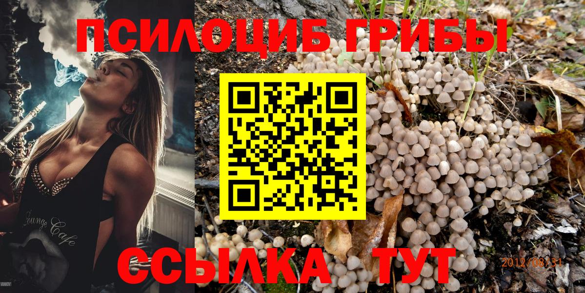 Псилоцибиновые грибы мицелий  Псилоцибиновые грибы MAGIC MUSHROOMS  Октябрьский  Вход с VPN 