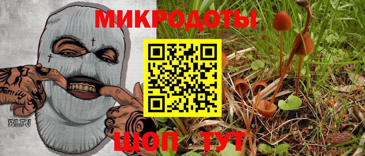 Псилоцибиновые грибы мицелий Октябрьский
